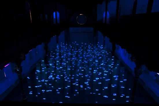 Others / Contemporary Silence