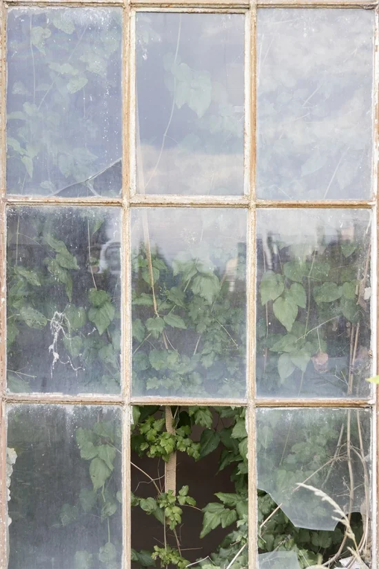 Contemporary topics Presence  -  €120 -  €630