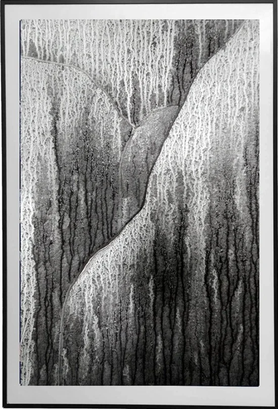 Abstract Winter forest 02  -  €120 -  €1950