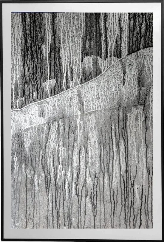 Photography Winter forest 03  -  €120 -  €1950